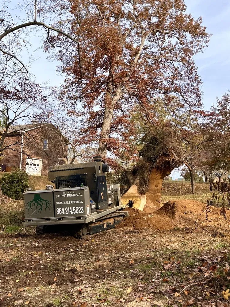 Custom landscape design in Greer, SC by Mark's Stump Removal