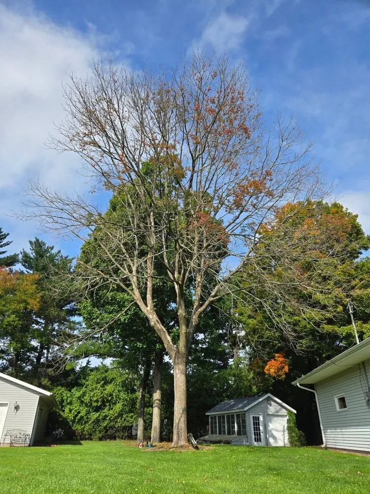 Custom residential landscaping in Wisconsin Rapids, WI - Marks Tree Removal and Landscaping