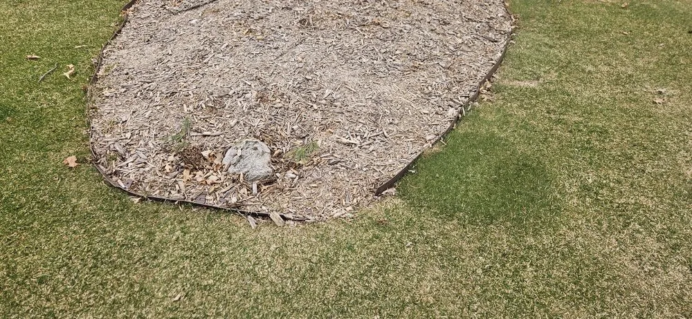 Top-rated lawn care service in Wisconsin Rapids, WI - Marks Tree Removal and Landscaping