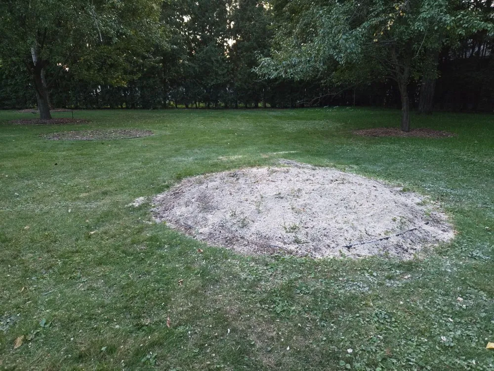 Local landscape design in Wisconsin Rapids, WI by Marks Tree Removal and Landscaping