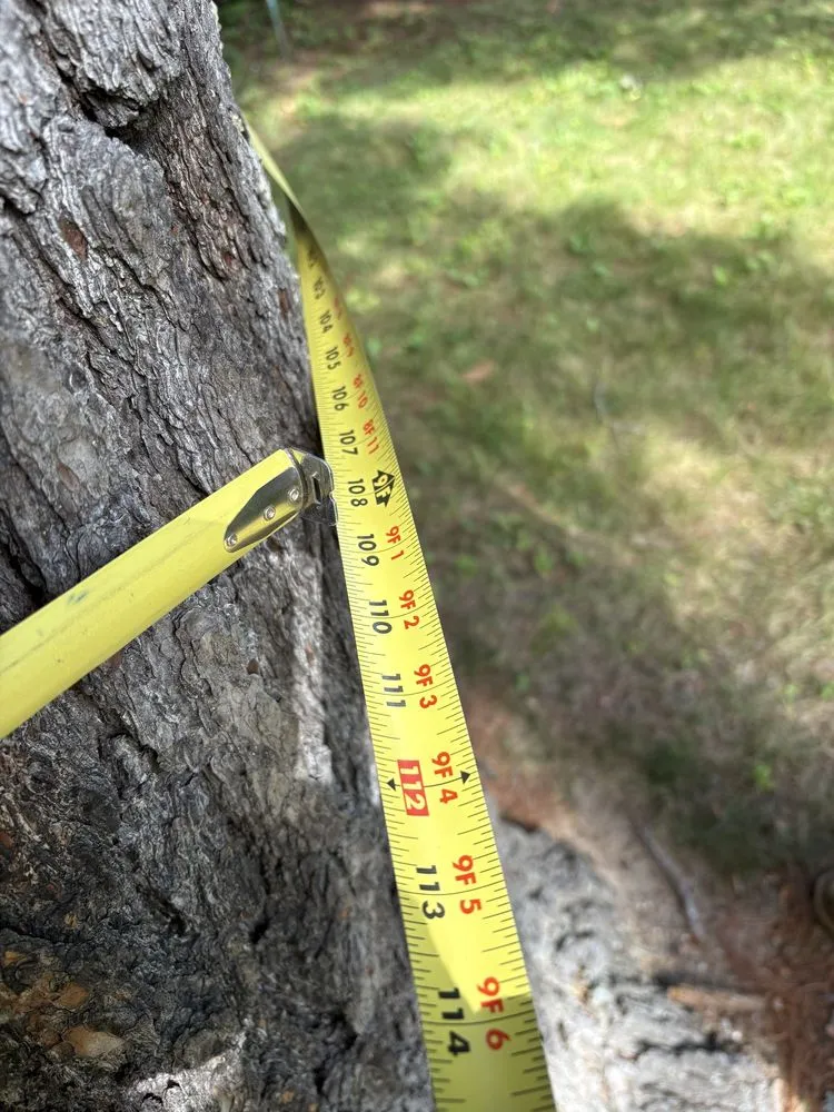 Affordable residential landscaping for homes across Wisconsin Rapids, WI - Marks Tree Removal and Landscaping