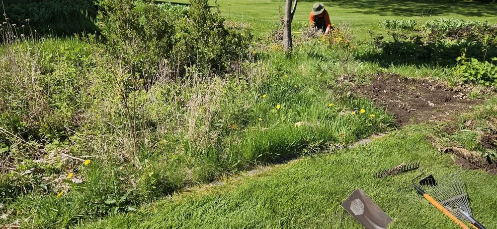 Expert landscaping services for homes in Wisconsin Rapids, WI by Marks Tree Removal and Landscaping