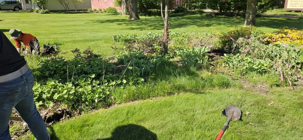 Affordable lawn care service experts serving Wisconsin Rapids, WI - Marks Tree Removal and Landscaping
