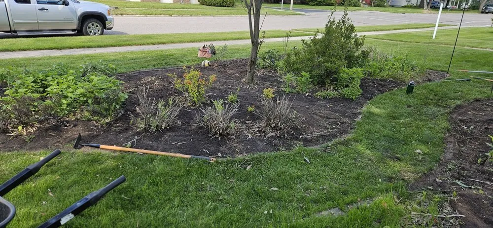 Professional lawn care service for homes across Wisconsin Rapids, WI - Marks Tree Removal and Landscaping