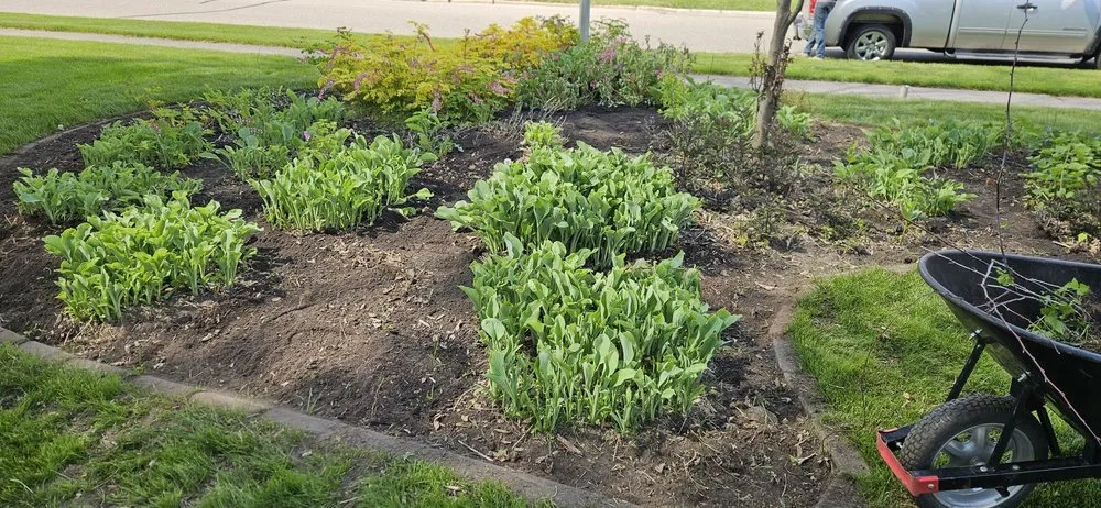 Top-rated lawn mowing service with custom design in Wisconsin Rapids, WI by Marks Tree Removal and Landscaping