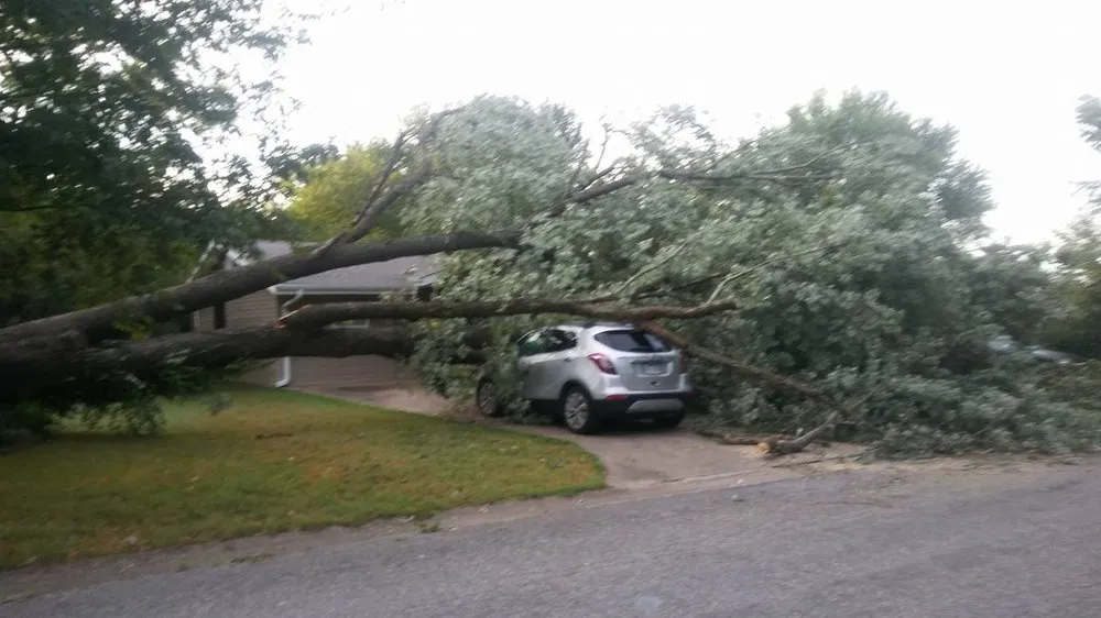 Affordable landscape design with custom design in Bentonville, AR by Mark's Tree Service