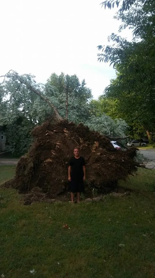 Professional garden landscaping in Bentonville, AR by Mark's Tree Service