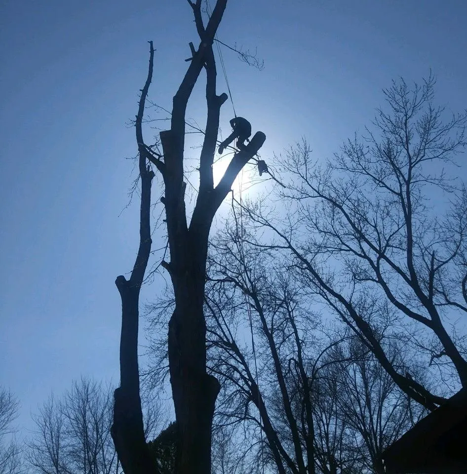 Trusted garden landscaping for year-round maintenance across Bentonville, AR - Mark's Tree Service
