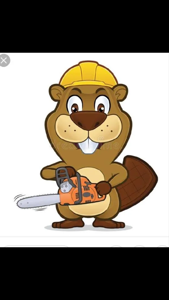 Trusted landscaping services in Bentonville, AR by Mark's Tree Service