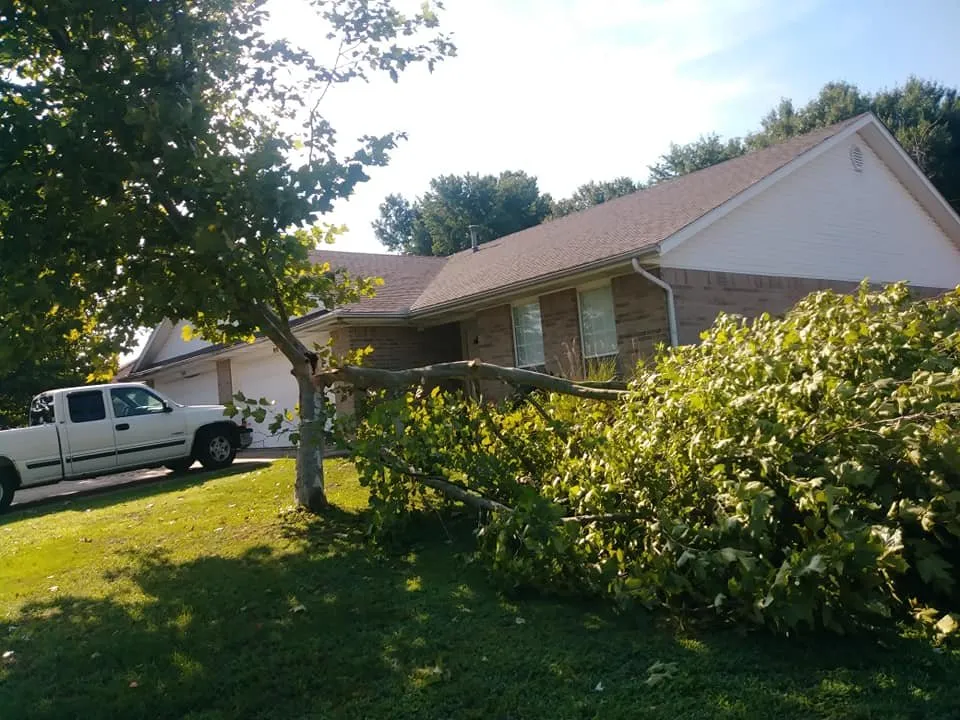 Custom landscape installation for outdoor upgrades in Bentonville, AR by Mark's Tree Service