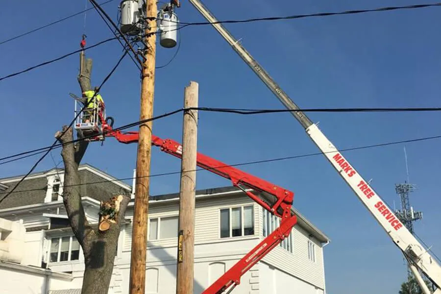 Custom yard cleanup service for residential properties in Edwardsville, IL by Marks Tree Trim & Removal