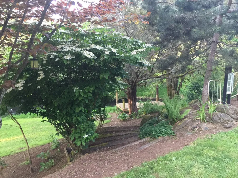 Local residential landscaping for beautiful yards in Gresham, OR by Mark's Yard Birds