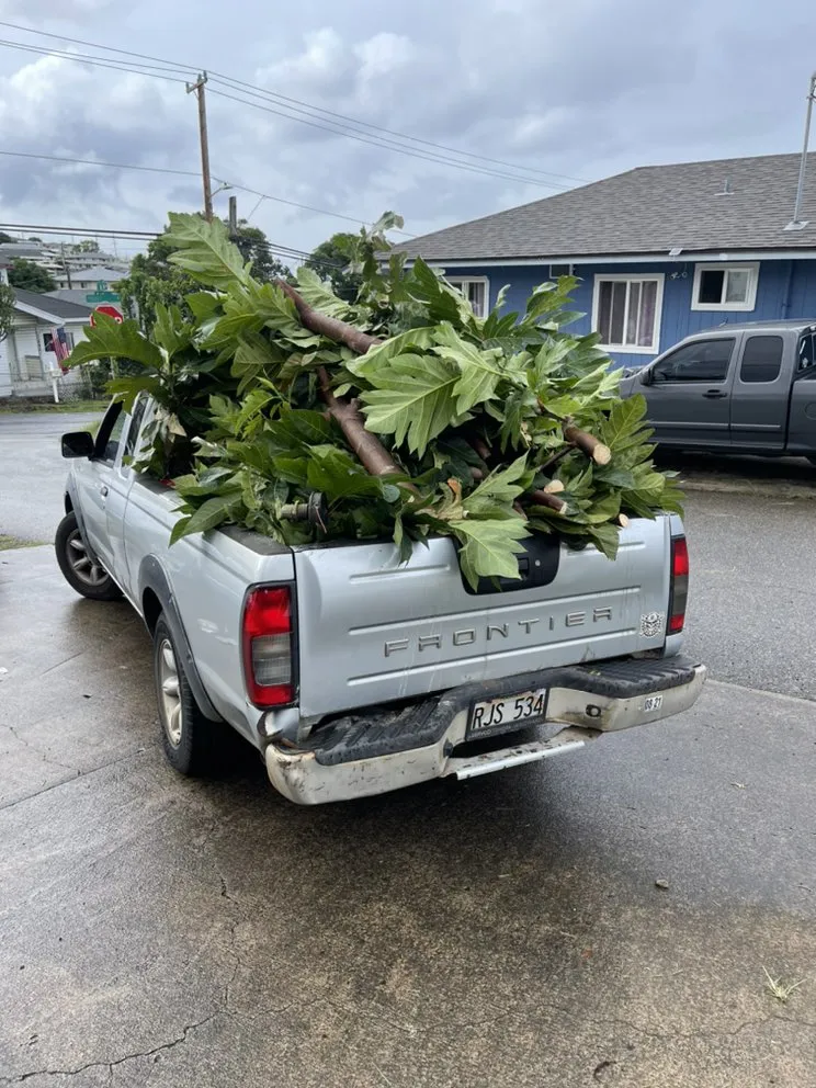 Local yard cleanup service experts serving Waipahu, HI - Mark's Zone