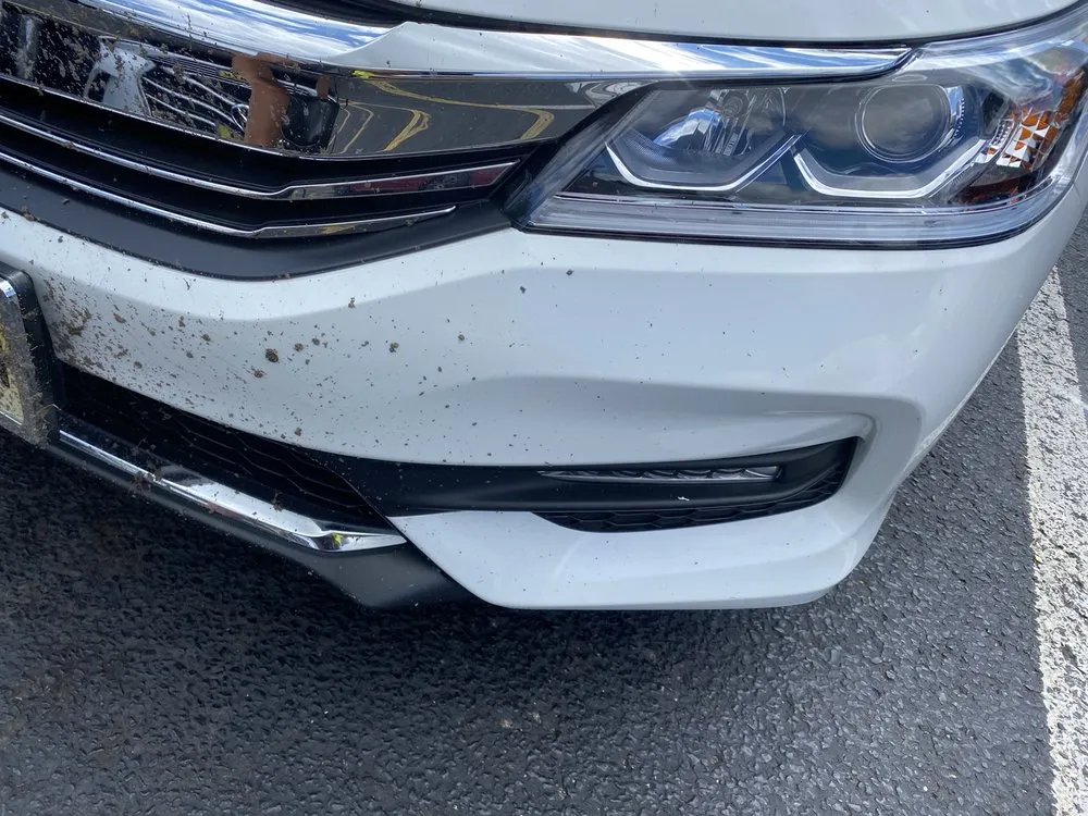 Affordable landscape design for outdoor upgrades across Blackwood, NJ - Marksmen Landscaping