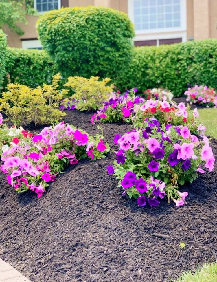 Local yard cleanup service for homes across Blackwood, NJ - Marksmen Landscaping