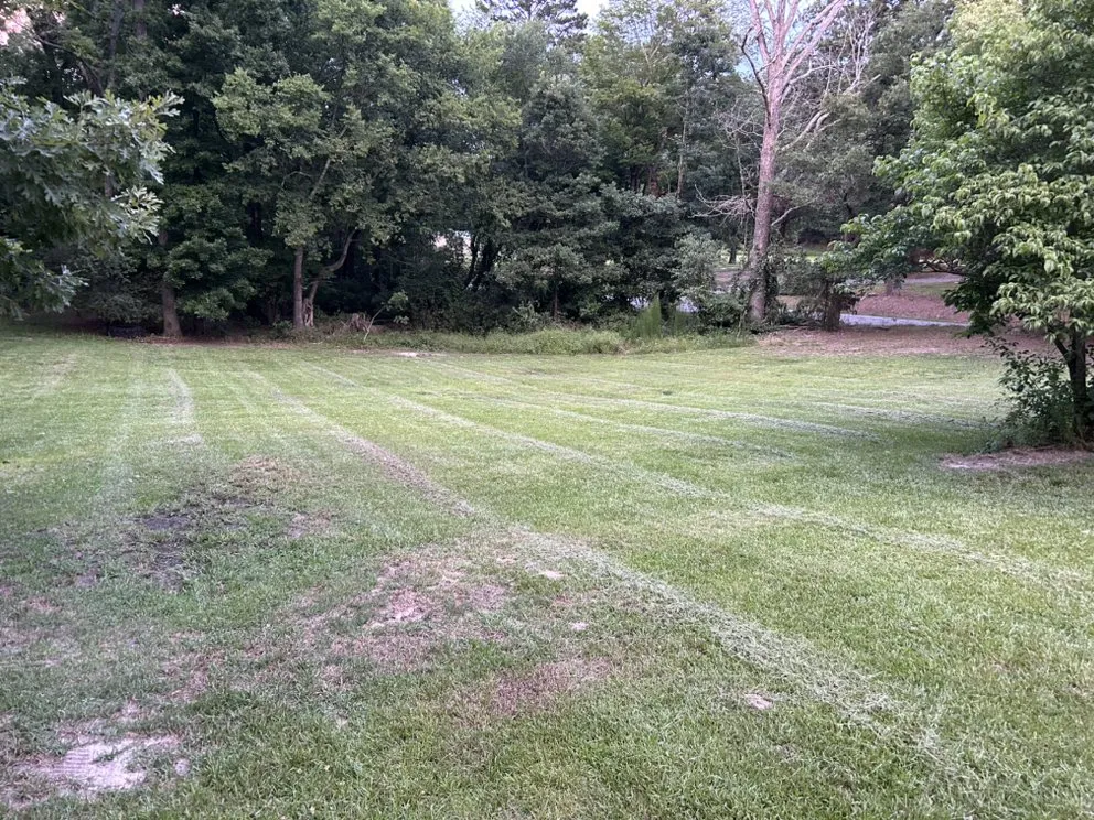 Affordable landscape installation for year-round maintenance across Robbins, NC - Marks’s Landscaping