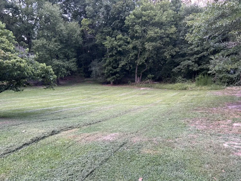 Affordable landscaping services experts serving Robbins, NC - Marks’s Landscaping