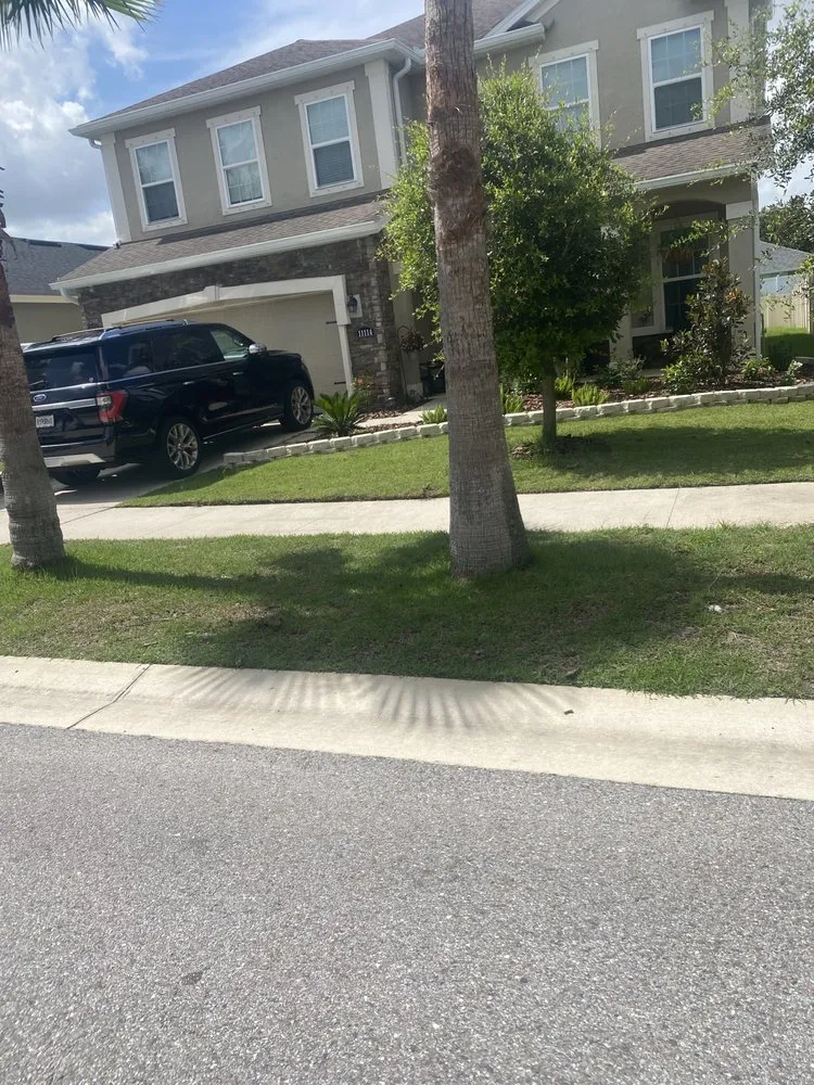 Reliable landscape design in Brandon, FL - Marlawn