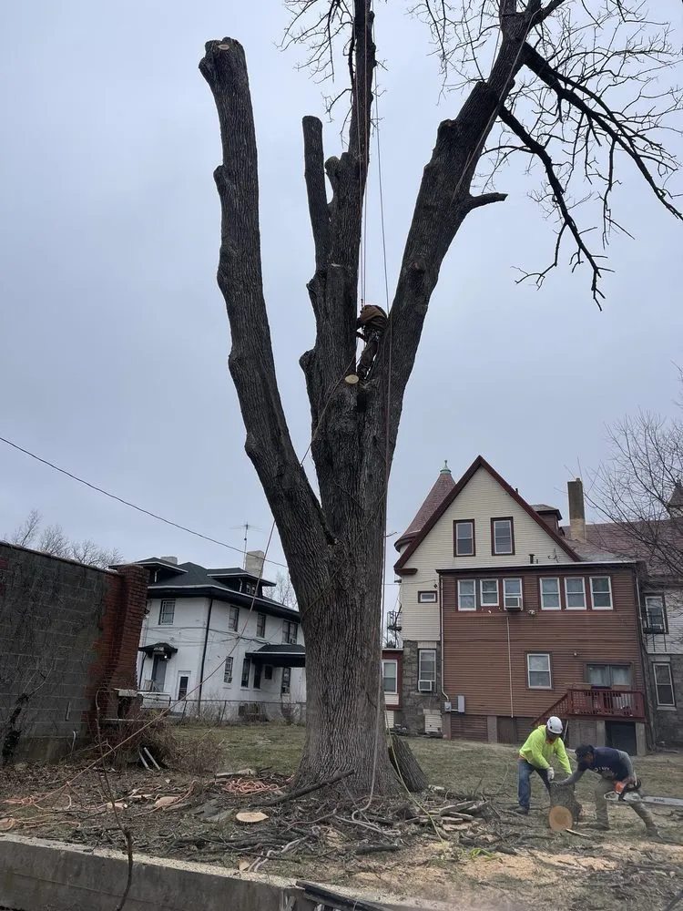 Custom garden landscaping in Trenton, NJ by Marlon Tree Service And Landscaping