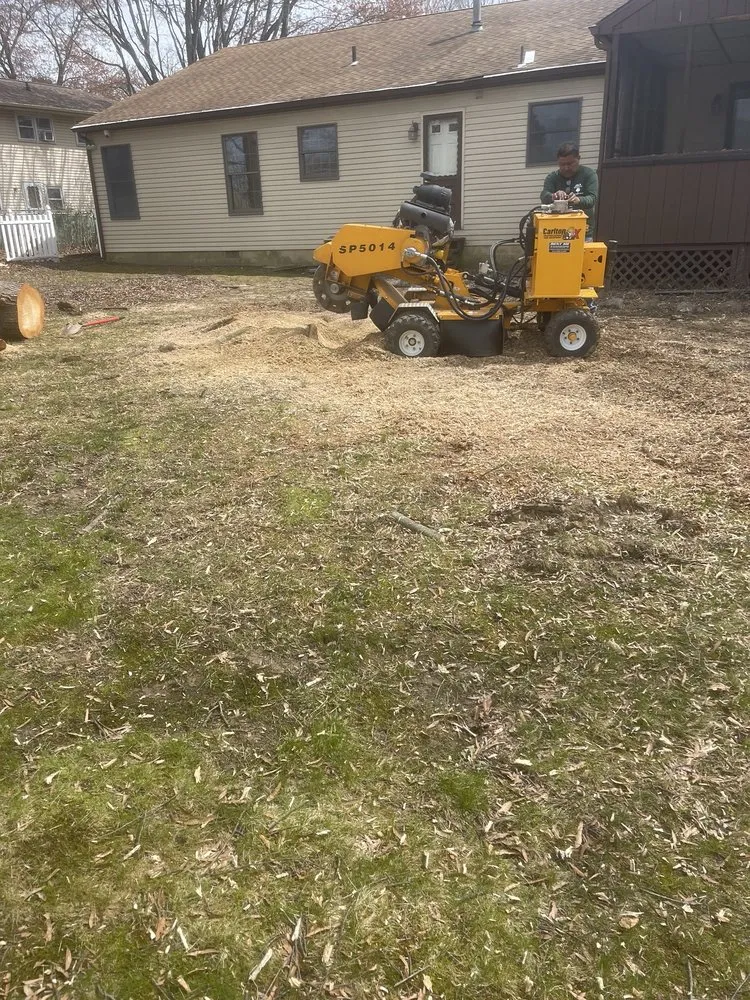 Professional landscaping services near you in Trenton, NJ by Marlon Tree Service And Landscaping