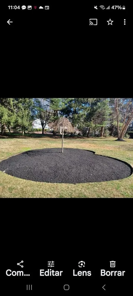 Top-rated landscaping services experts serving Trenton, NJ - Marlon Tree Service And Landscaping