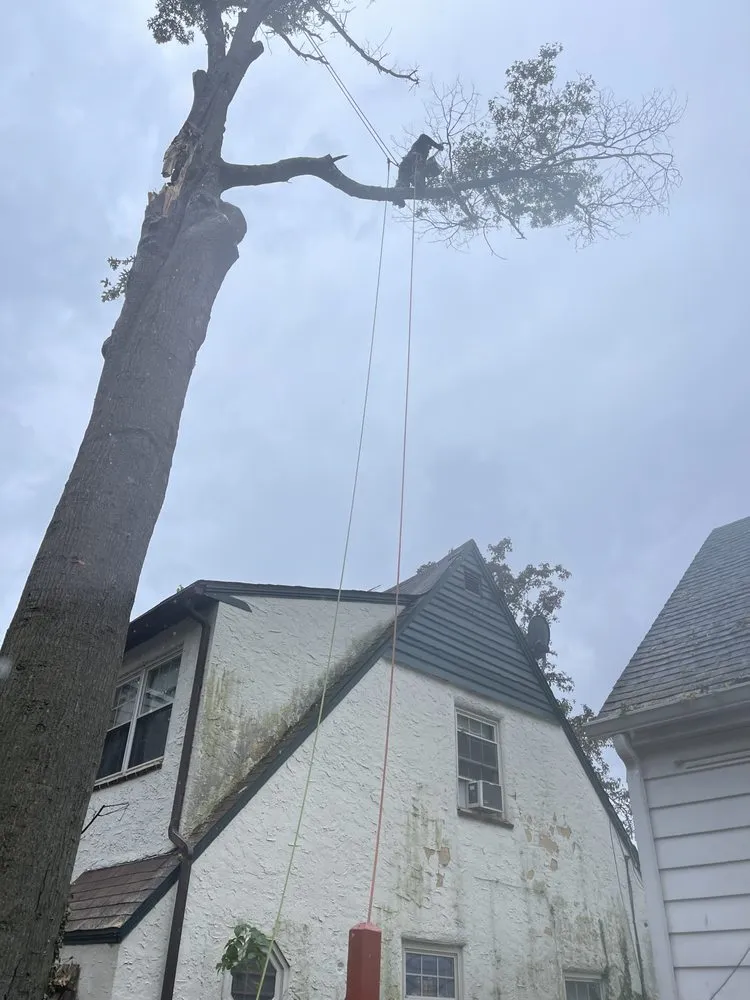 Professional outdoor landscaping in Trenton, NJ by Marlon Tree Service And Landscaping