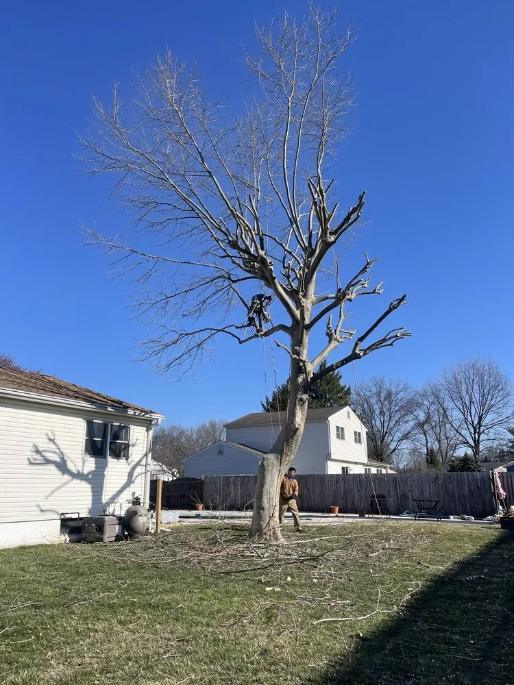 Custom lawn care service in Trenton, NJ by Marlon Tree Service And Landscaping