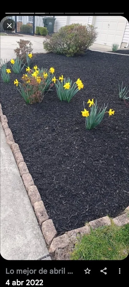 Local lawn care service in Trenton, NJ by Marlon Tree Service And Landscaping