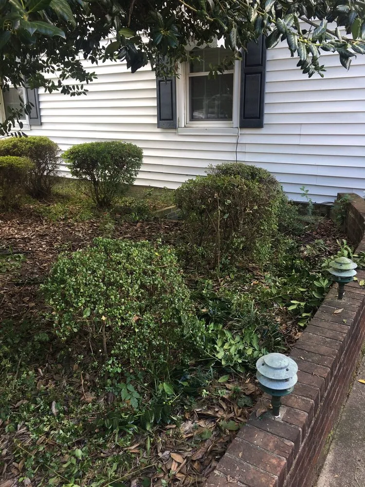 Affordable residential landscaping in Wilson, NC - Marlon's Landscaping