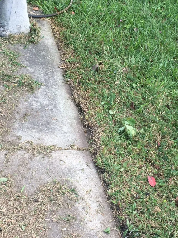 Expert outdoor landscaping for homes in Wilson, NC by Marlon's Landscaping