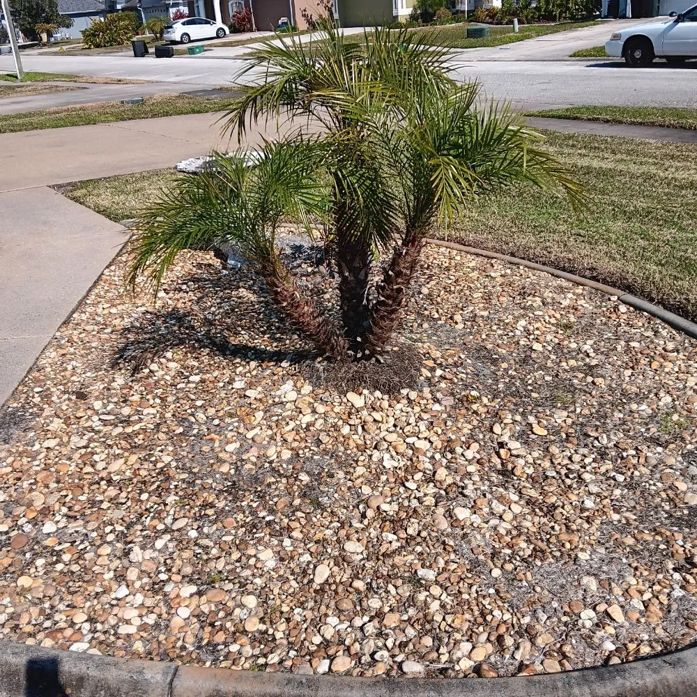 Reliable lawn mowing service in New Smyrna Beach, FL - Marlon's Lawn Service