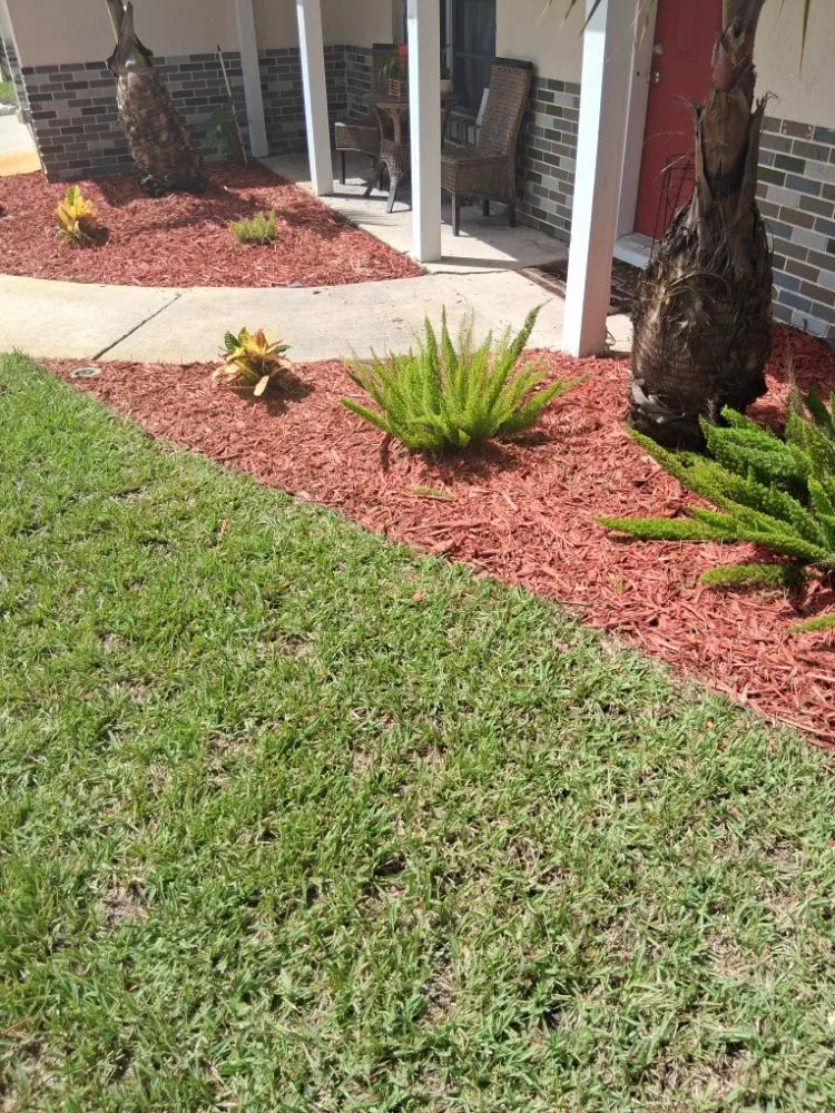 Custom residential landscaping for year-round maintenance in New Smyrna Beach, FL by Marlon's Lawn Service