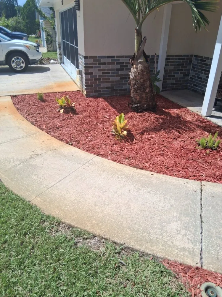 Custom outdoor landscaping in New Smyrna Beach, FL by Marlon's Lawn Service