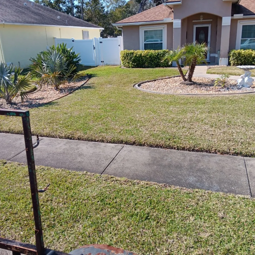 Expert yard cleanup service experts serving New Smyrna Beach, FL - Marlon's Lawn Service