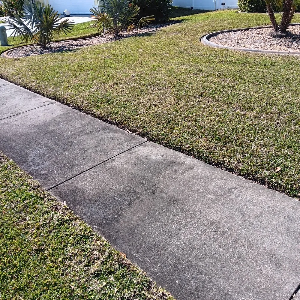 Professional yard cleanup service in New Smyrna Beach, FL by Marlon's Lawn Service