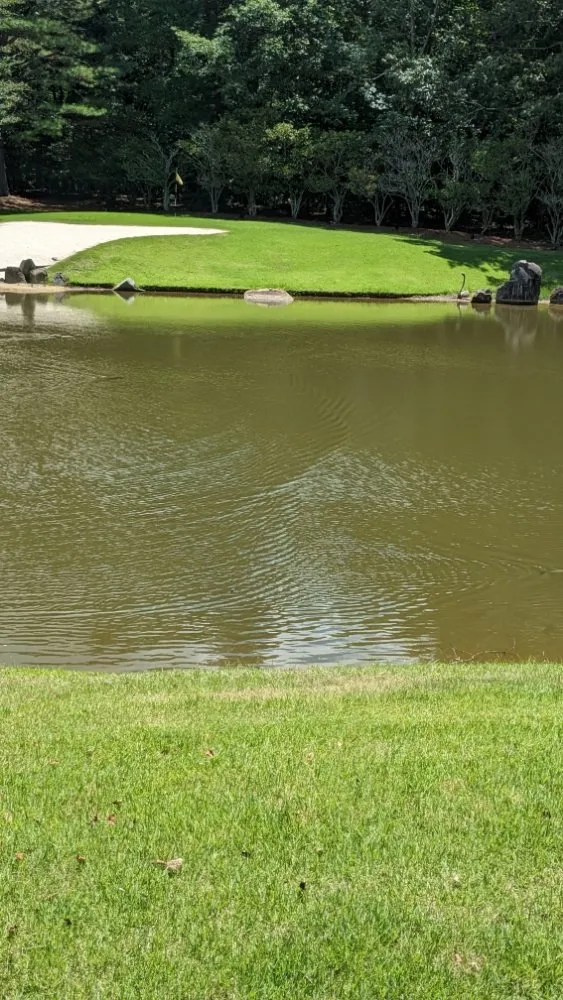 Trusted garden landscaping for residential properties across Waco, GA - Marlow Dirt Works And Lawn Care