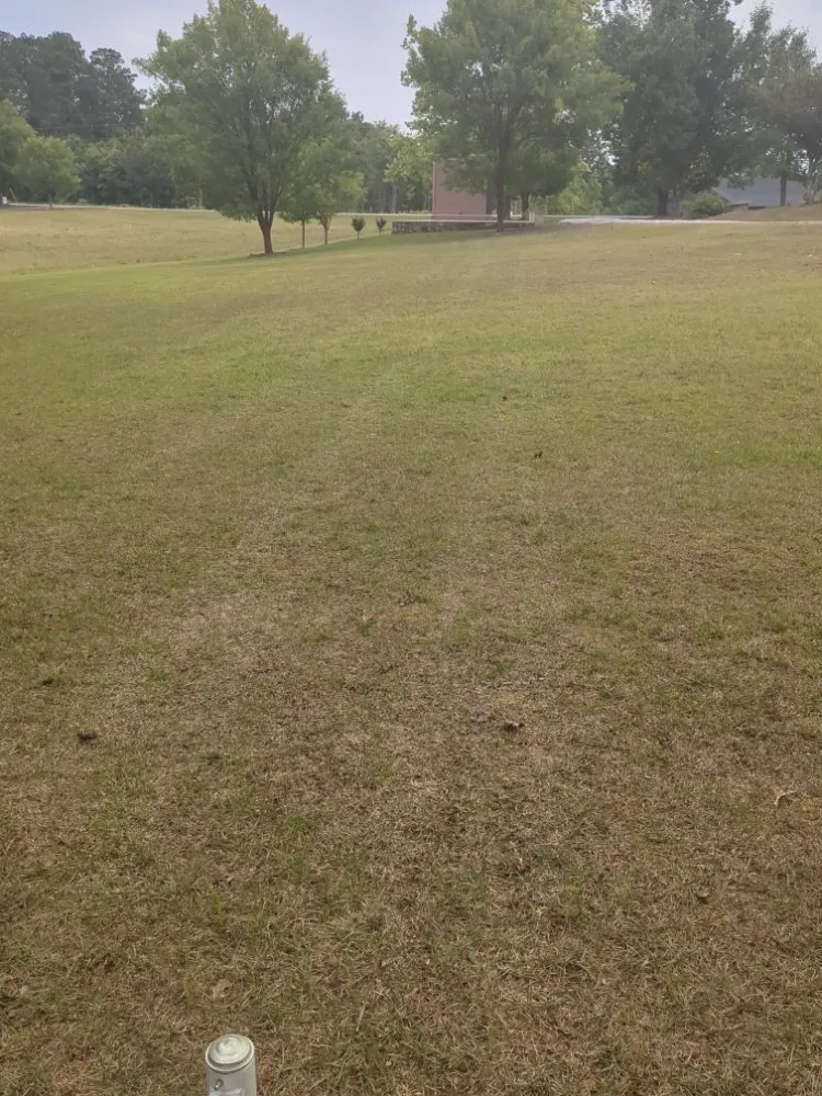 Professional lawn mowing service in Waco, GA by Marlow Dirt Works And Lawn Care