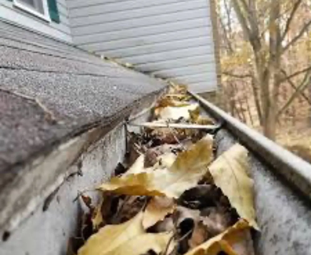 Local garden landscaping experts serving Omaha, NE - Marlow’s Innovation