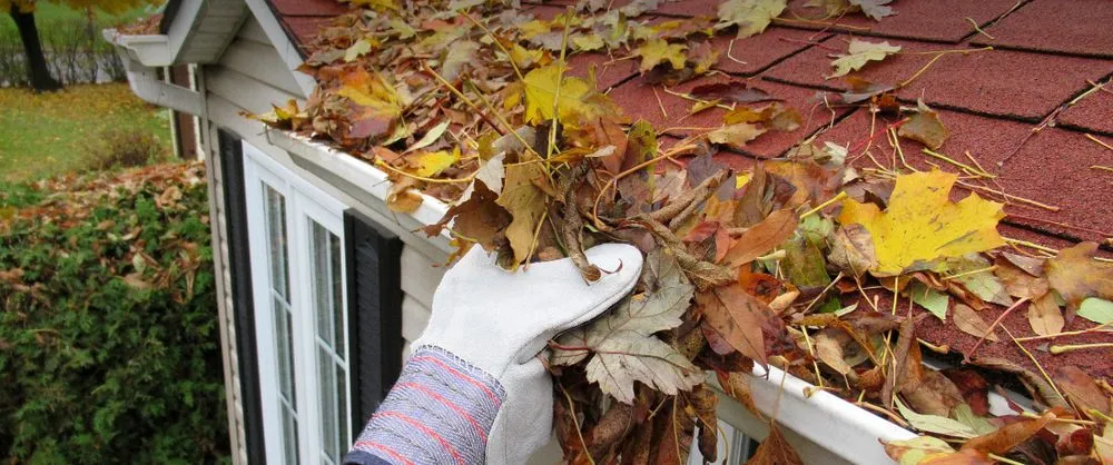 Local outdoor landscaping in Omaha, NE - Marlow’s Innovation