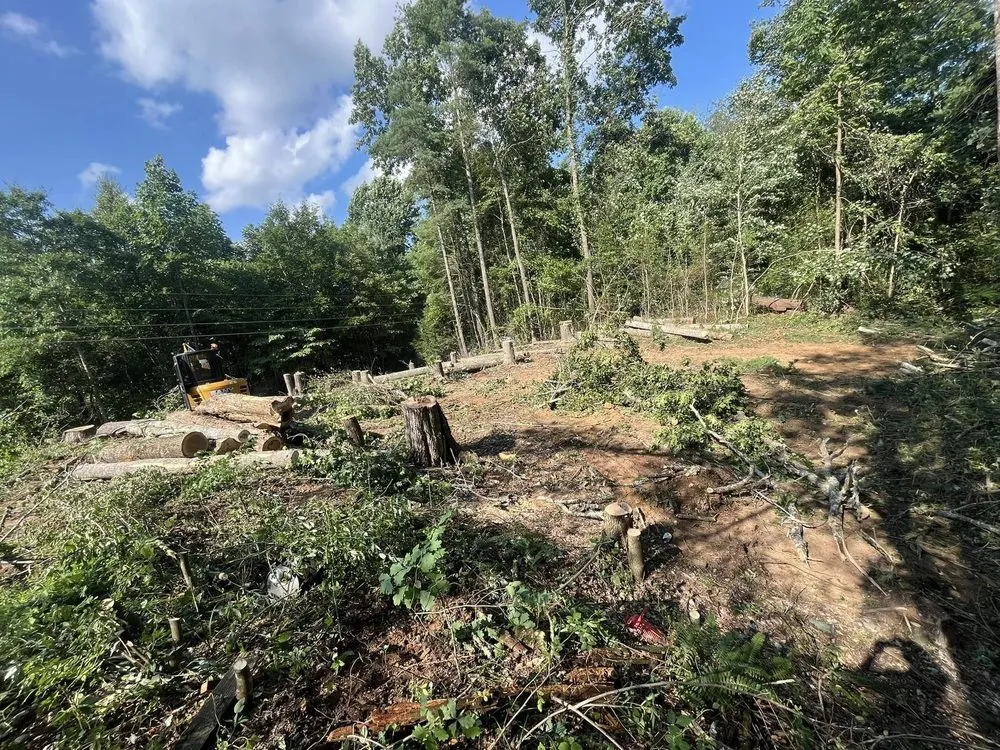 Top-rated residential landscaping in Elizabethton, TN - Marlow's Land Service