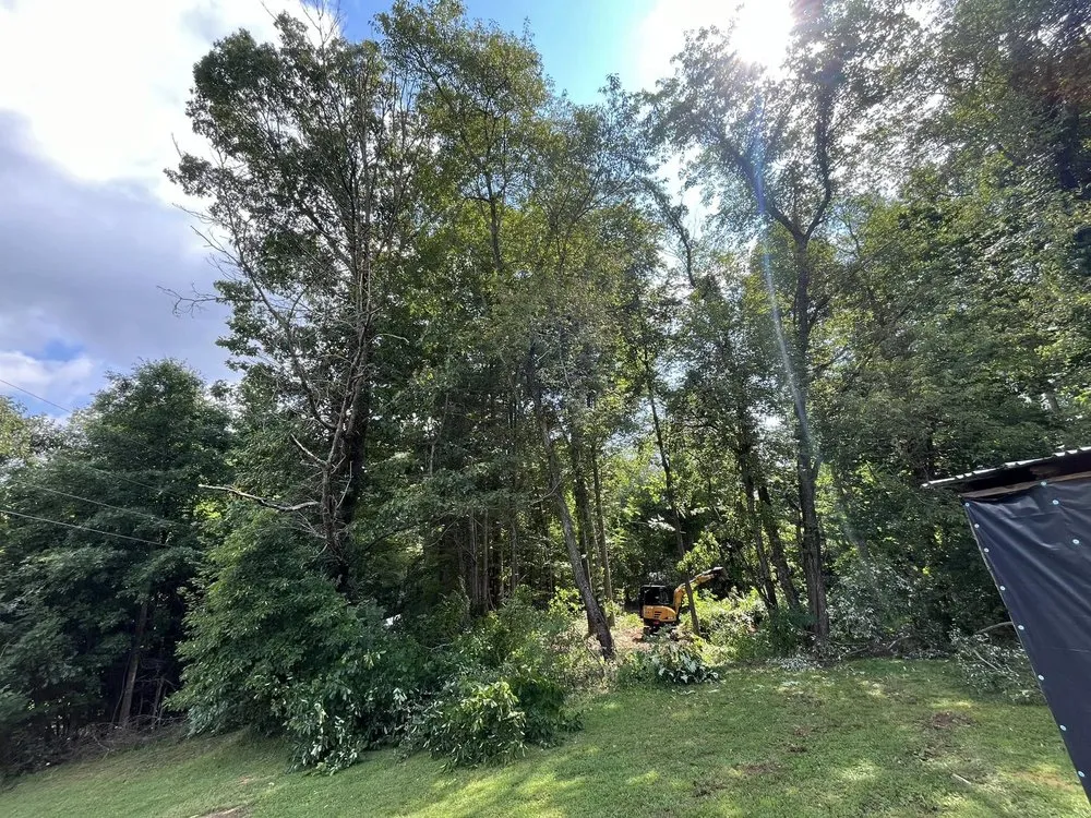 Affordable residential landscaping experts serving Elizabethton, TN - Marlow's Land Service