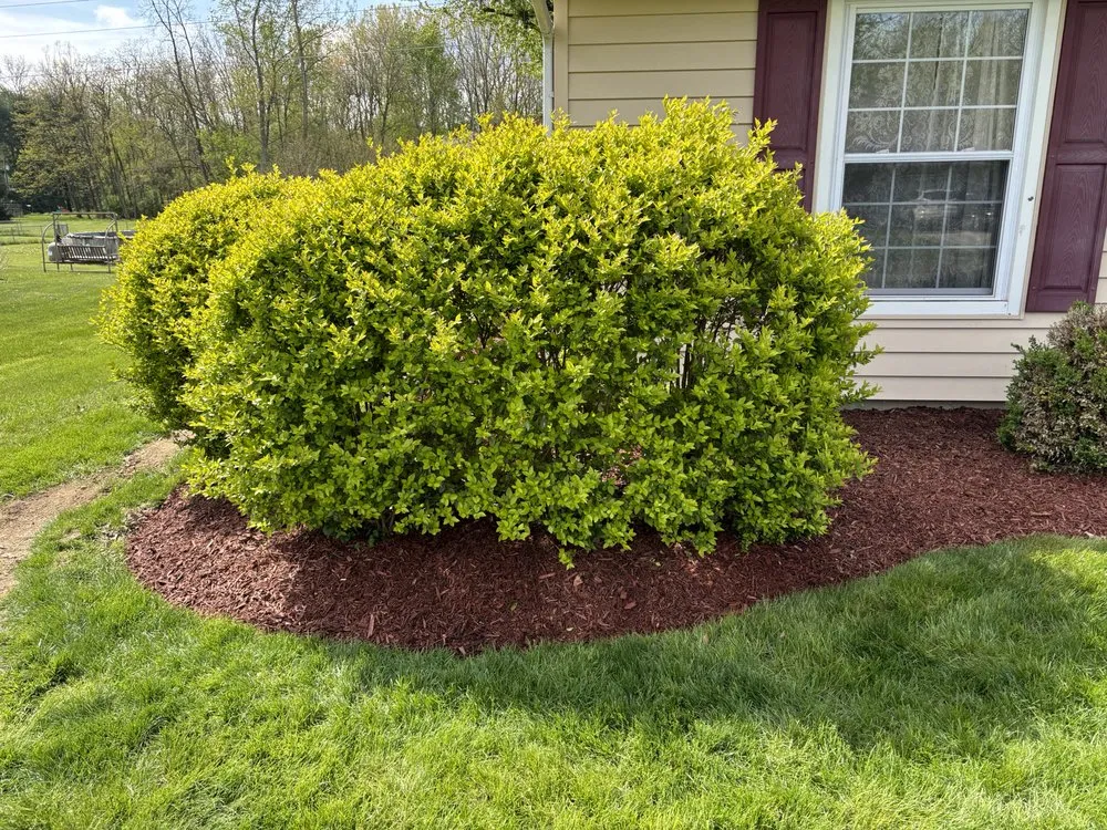 Affordable residential landscaping for outdoor upgrades across Columbus, OH - Marnett Services