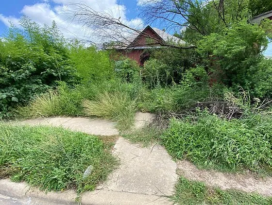 Reliable garden landscaping in Cedar Park, TX by Maroj Landscapes