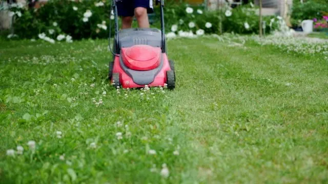 Custom landscape design in Cedar Park, TX by Maroj Landscapes