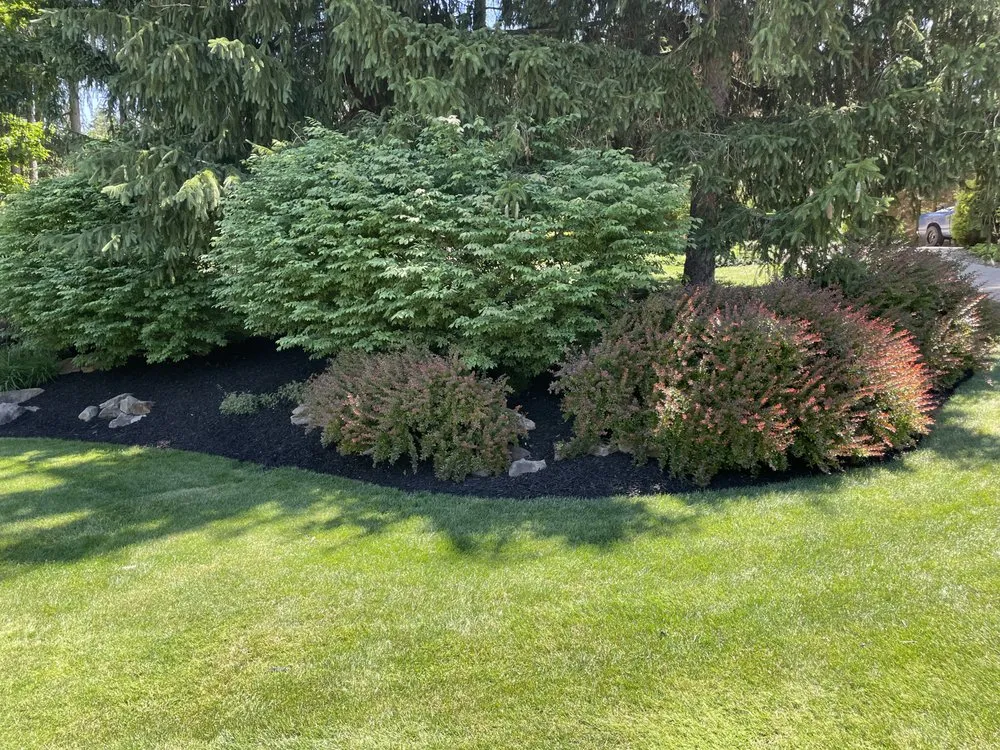Local landscape installation in Medina, OH by Marotta’s Landscaping