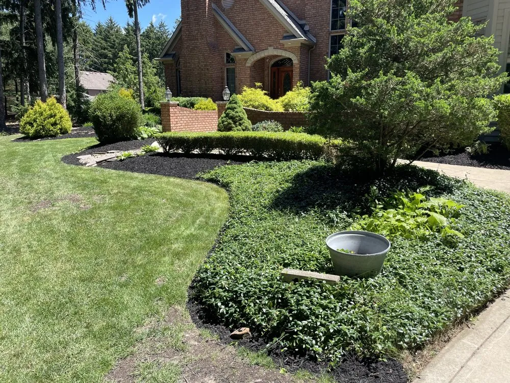 Trusted yard cleanup service in Medina, OH by Marotta’s Landscaping