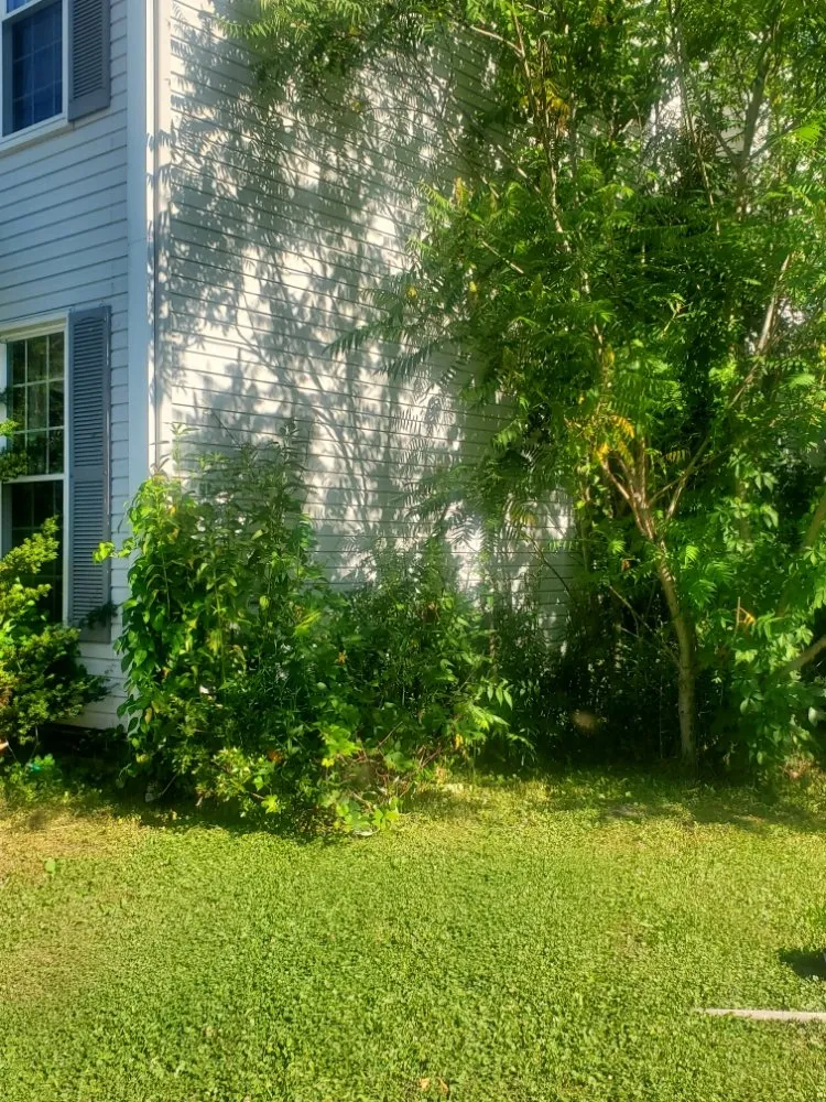 Professional landscape design in Ravenna, OH - Marozzi’s Terrain Management