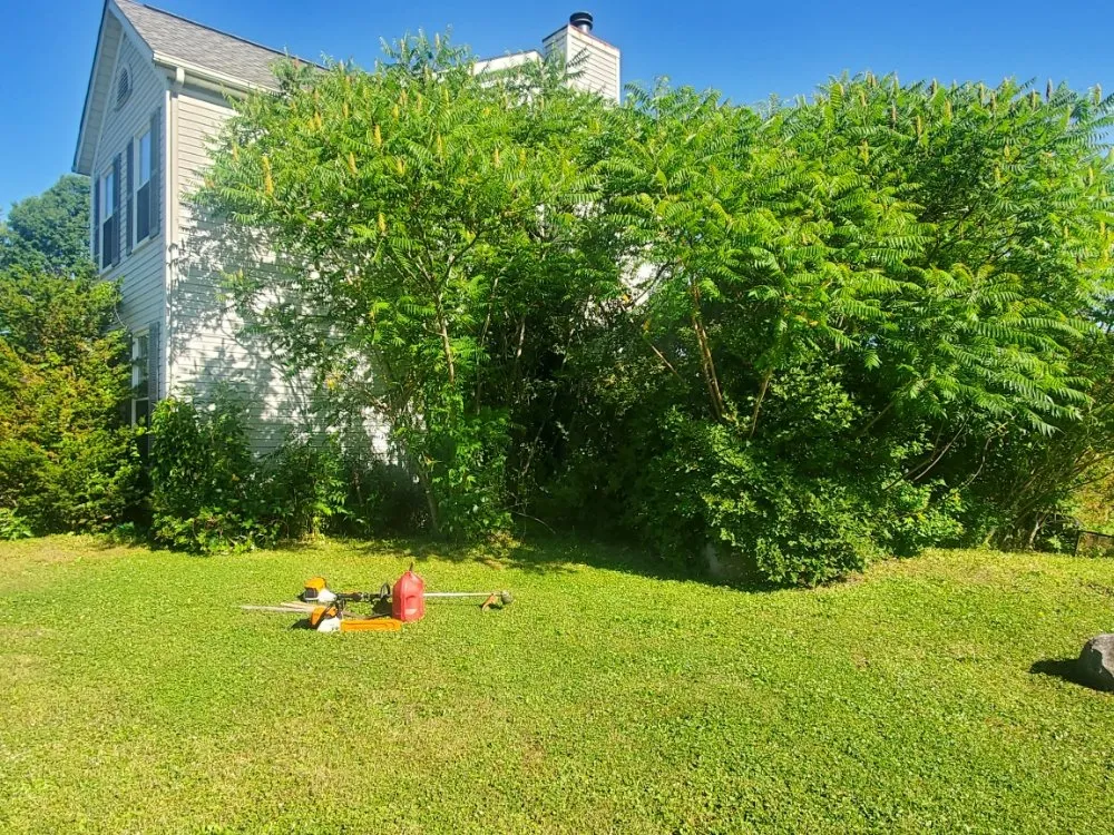 Reliable landscaping services for beautiful yards in Ravenna, OH by Marozzi’s Terrain Management