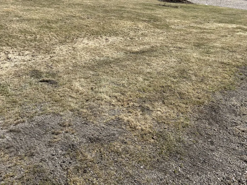 Affordable residential landscaping in Cascade, WI by Marquardt Landscaping