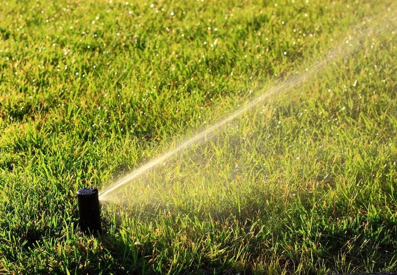 Reliable lawn care service experts serving Norwood, NC - Marquel Lawn Service